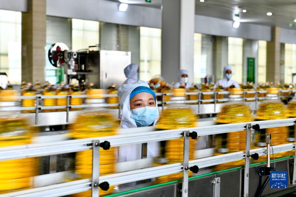 注册送彩娱乐金网址大全